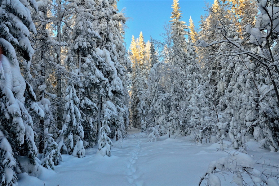 Фото жизнь