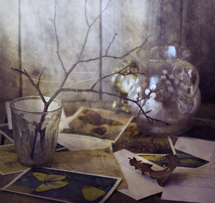Фото жизнь (light) - Lilliya - корневой каталог - Ах, как быстро облетели листья...