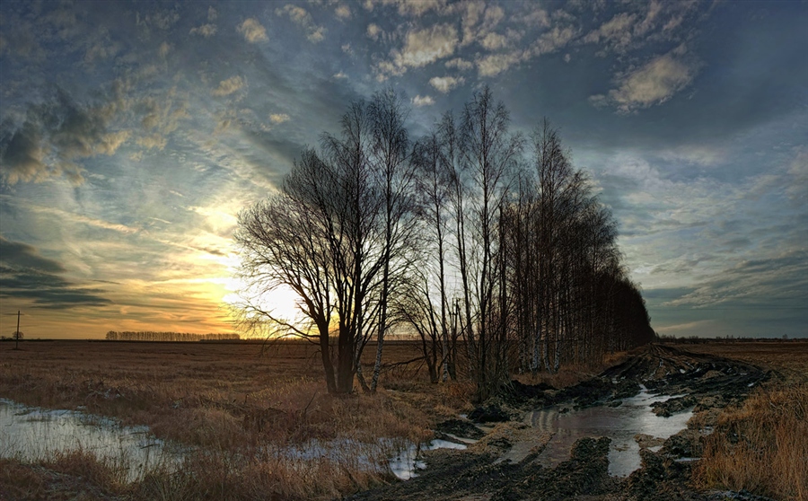 Фото жизнь