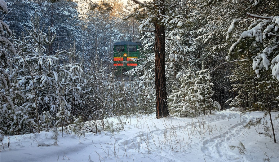 Фото жизнь