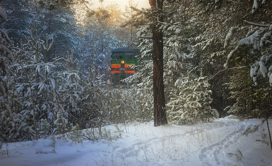 Фото жизнь