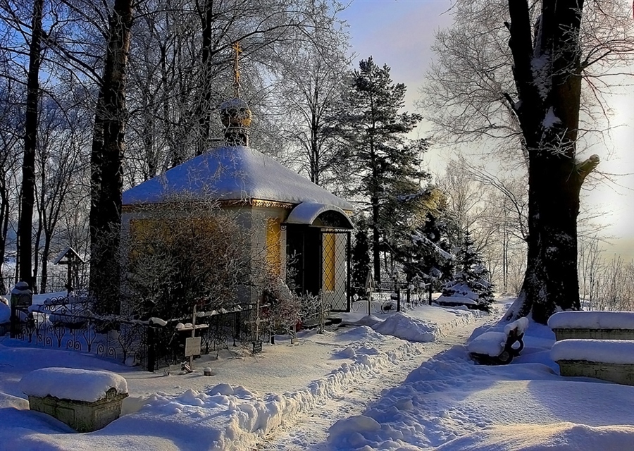 Фото жизнь
