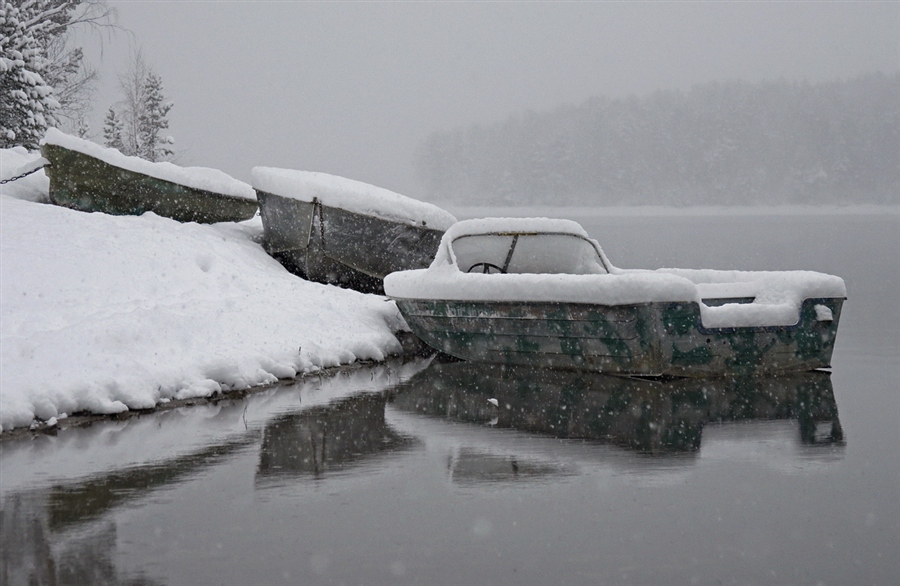 Фото жизнь