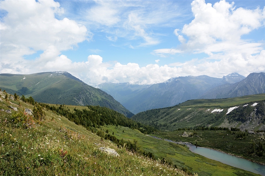 Фото жизнь