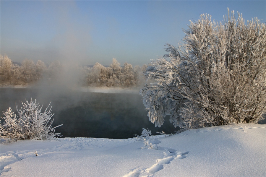 Фото жизнь