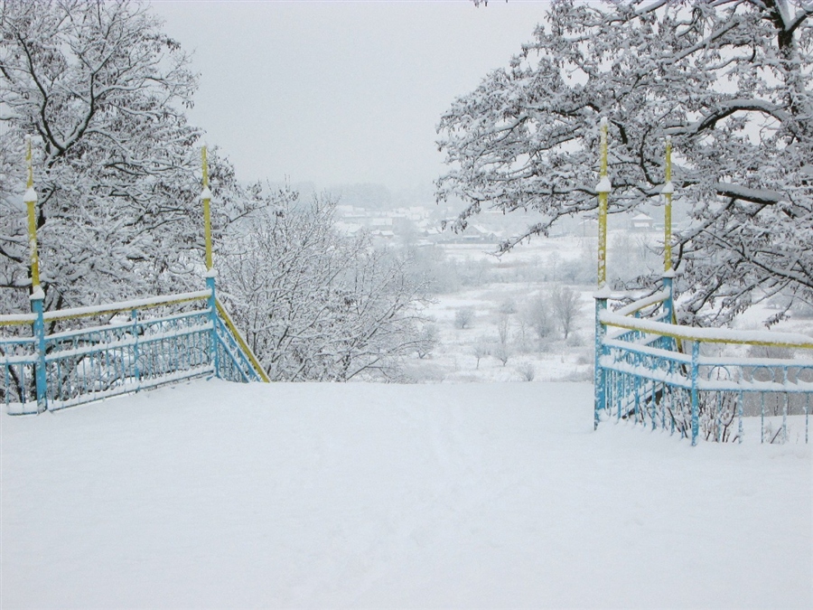 Фото жизнь