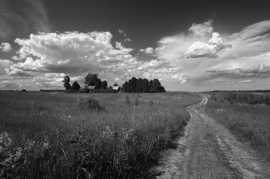 Фото жизнь