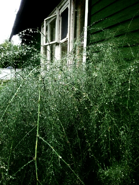 Фото жизнь (light) - serenata - корневой каталог - *