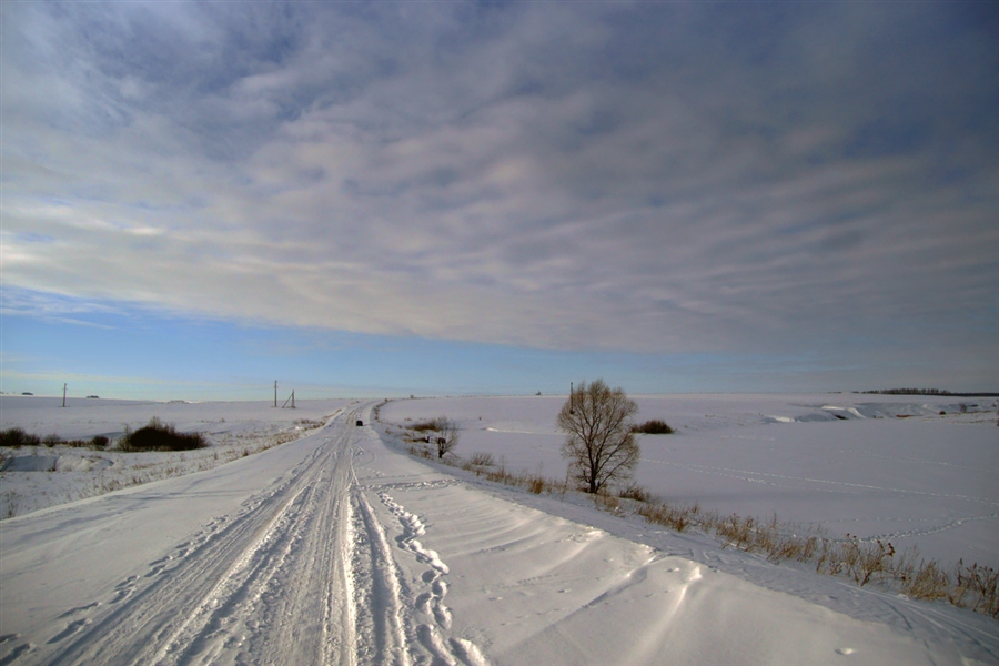 Фото жизнь