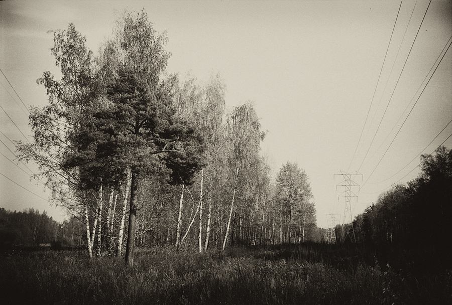 Фото жизнь - Александр Клёнов - Природа, пейзажи - Осень с проводами