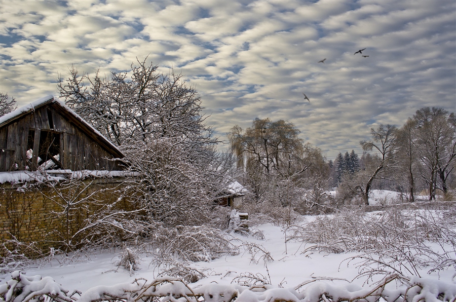 Фото жизнь