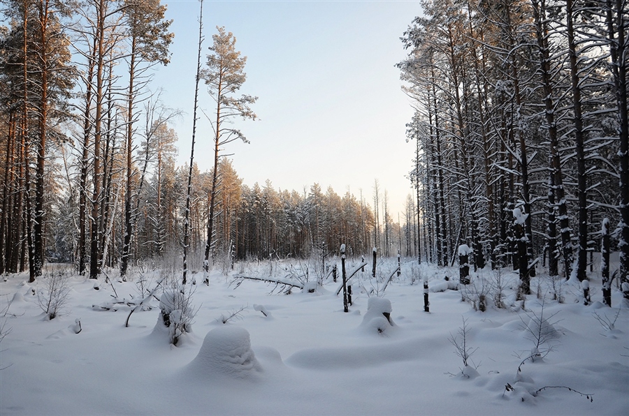 Фото жизнь