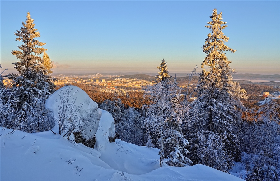 Фото жизнь