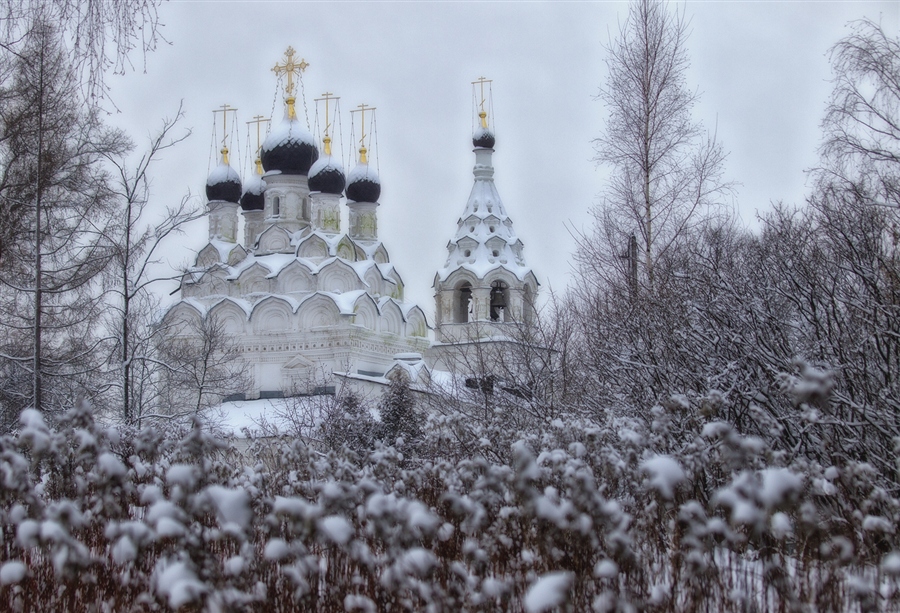 Фото жизнь