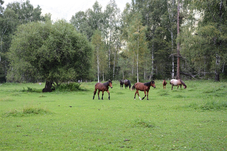 Фото жизнь