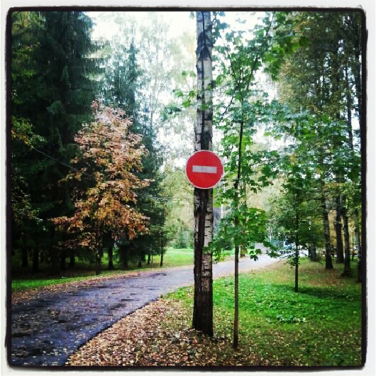 Фото жизнь (light) - serenata - корневой каталог - *