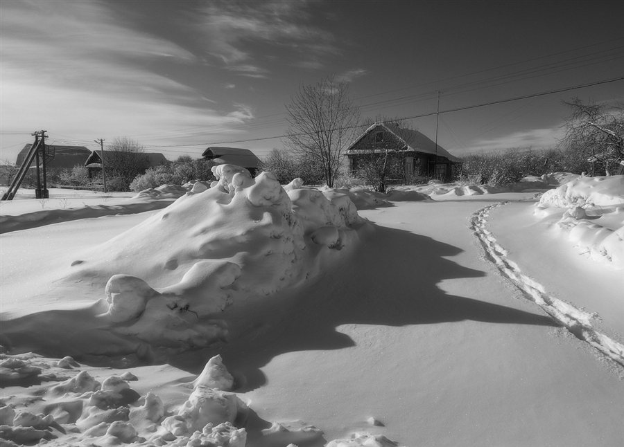 Фото жизнь