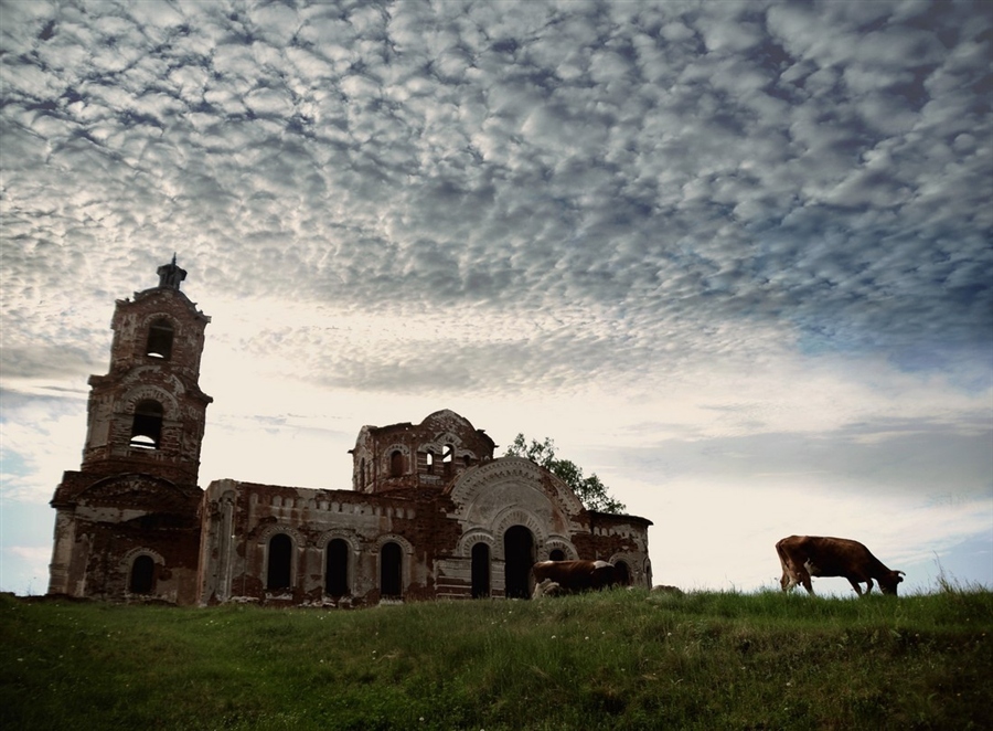 Фото жизнь
