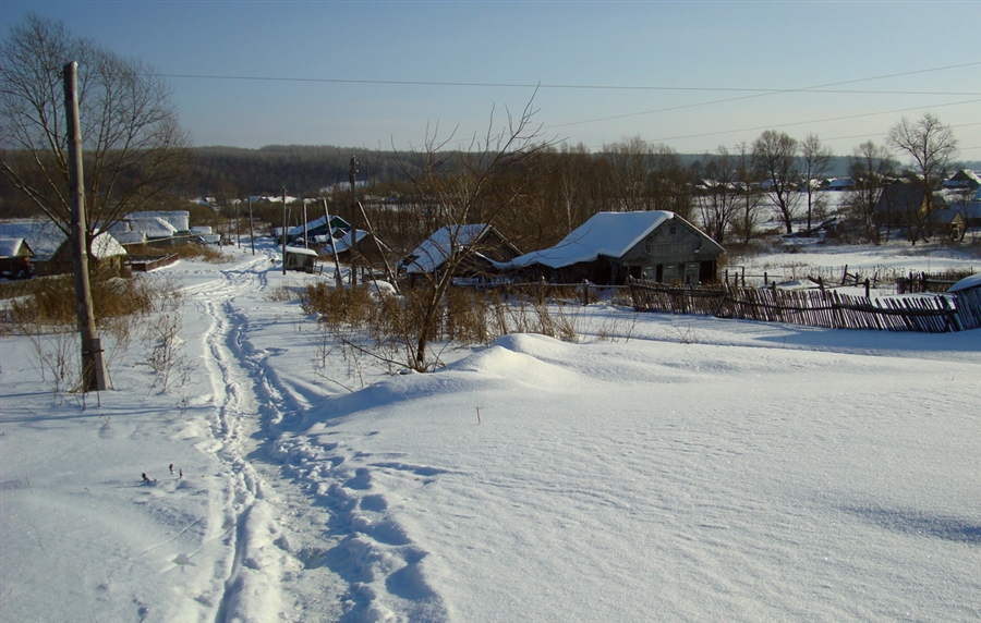 Фото жизнь