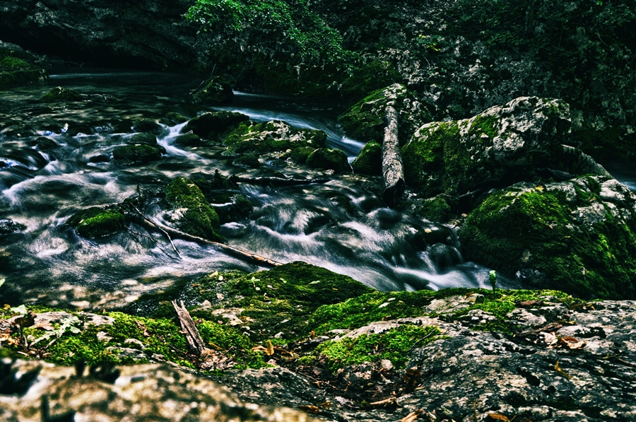 Фото жизнь