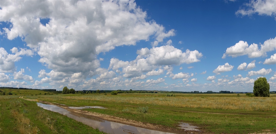 Фото жизнь