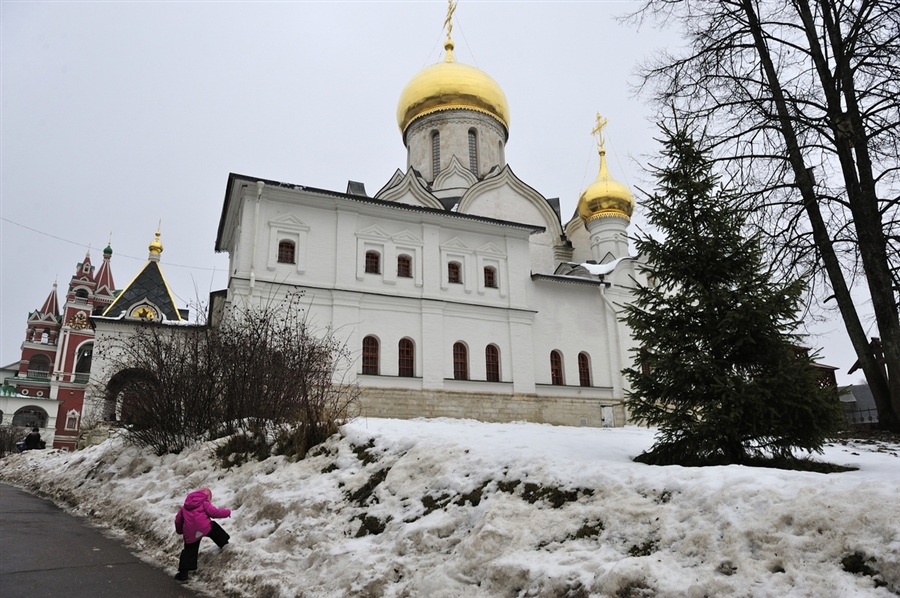 Фото жизнь