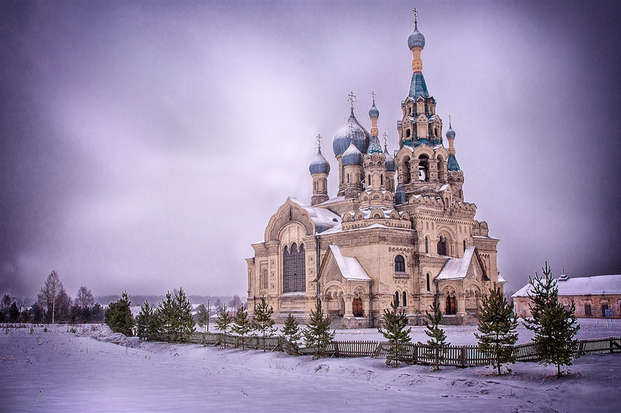 Фото жизнь