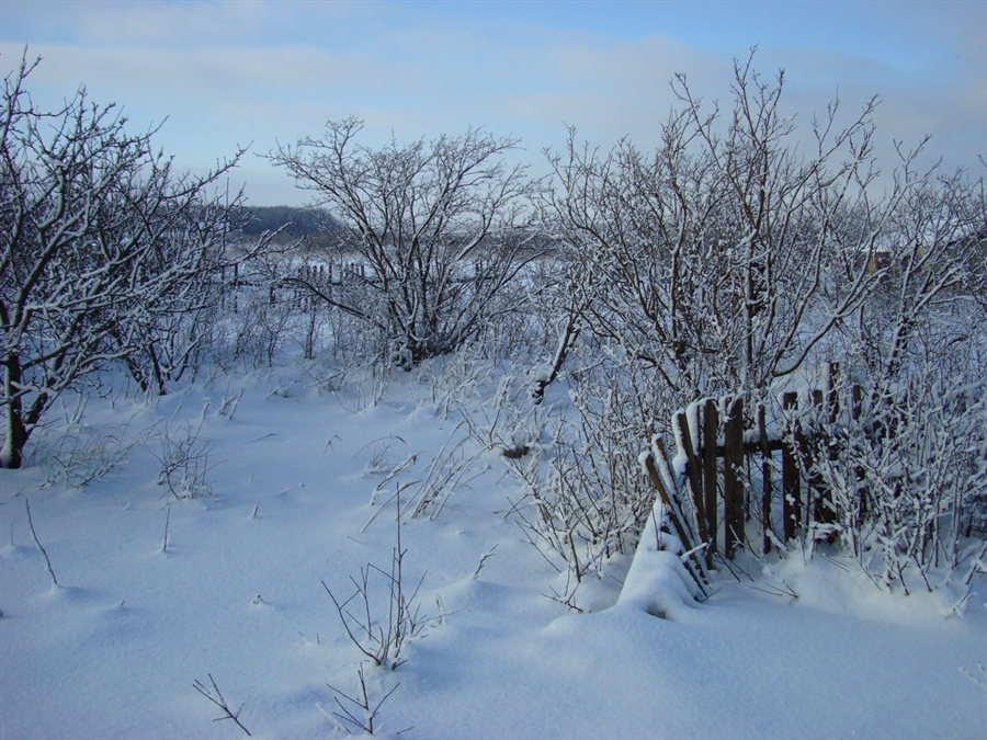 Фото жизнь