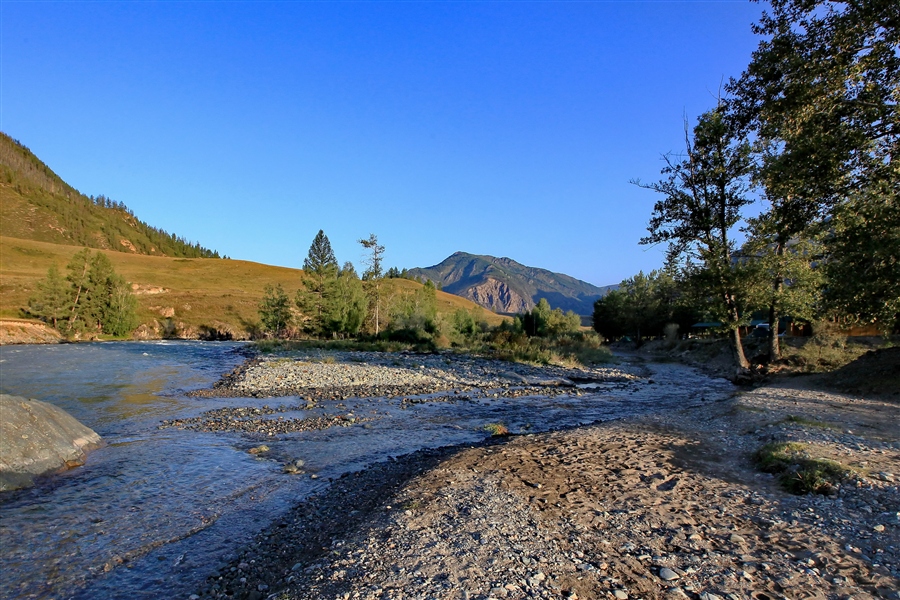 Фото жизнь