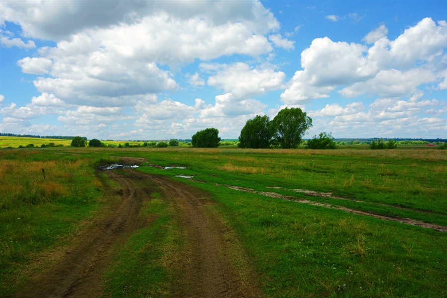 Фото жизнь