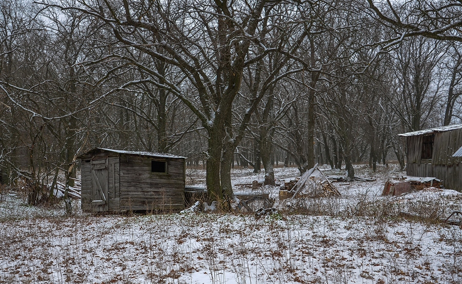 Фото жизнь