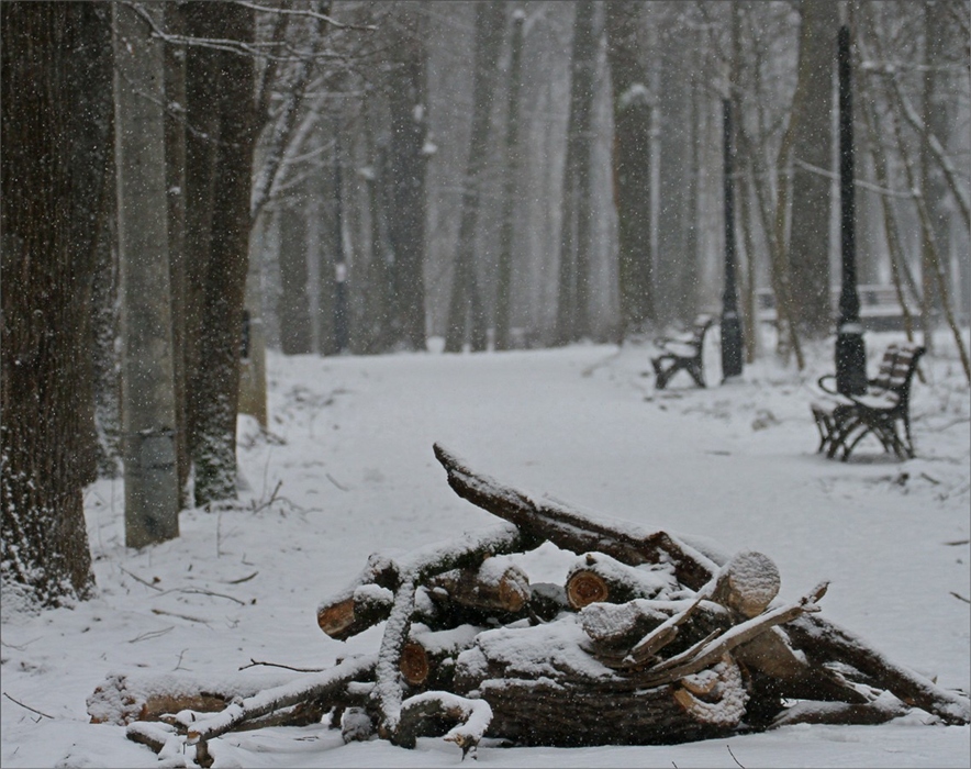 Фото жизнь