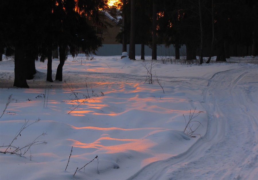 Фото жизнь