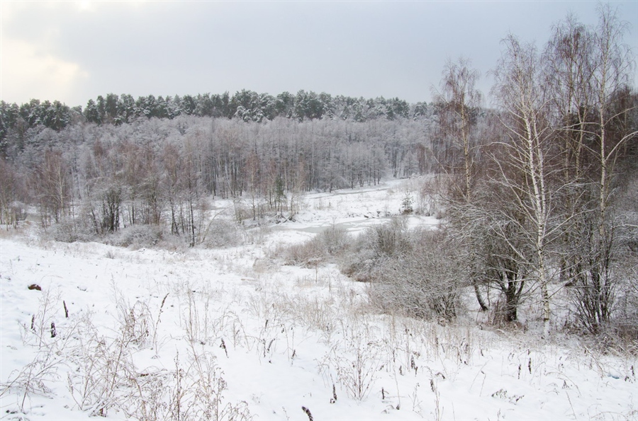 Фото жизнь