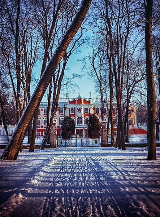 Фото жизнь