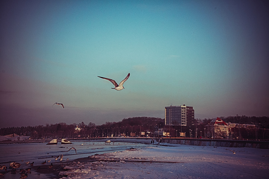 Фото жизнь (light) - Julianne And - City - Птичий полёт