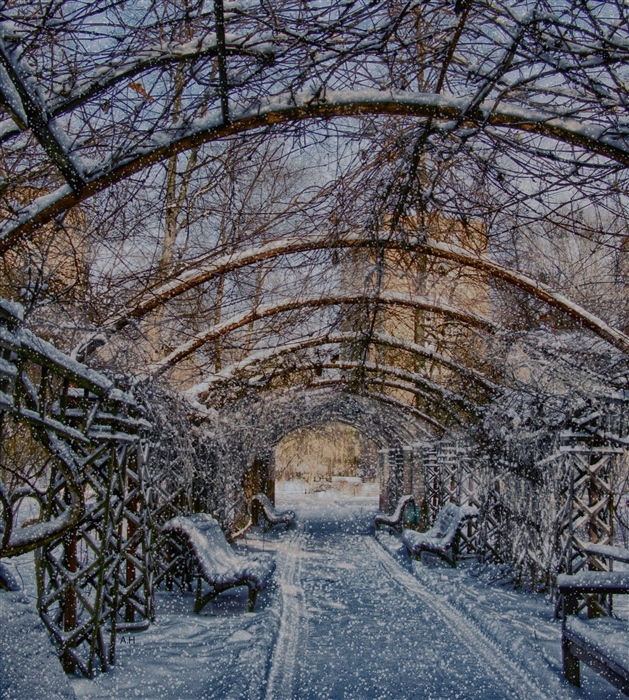 Фото жизнь