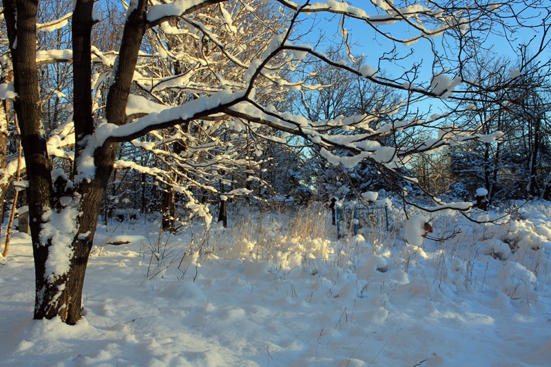 Фото жизнь