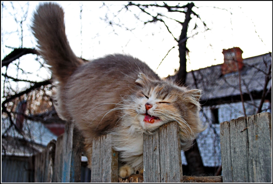 Фото жизнь