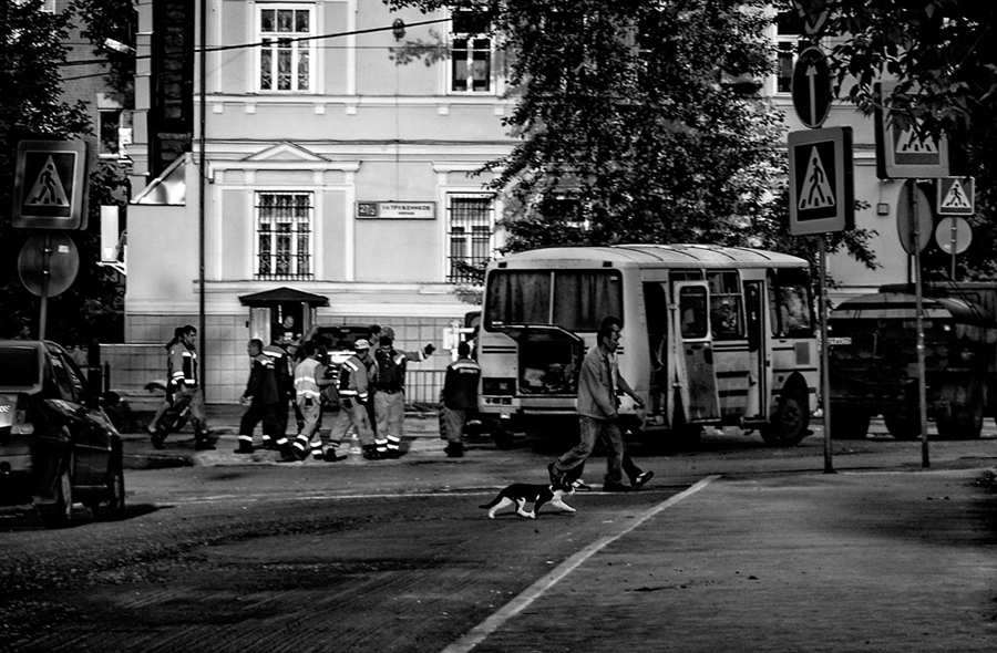 Фото жизнь