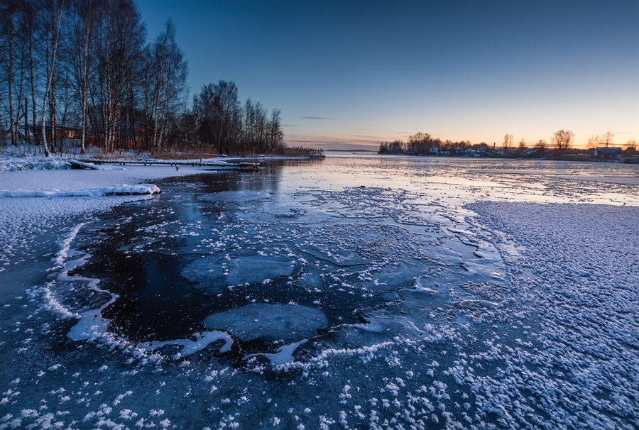 Фото жизнь