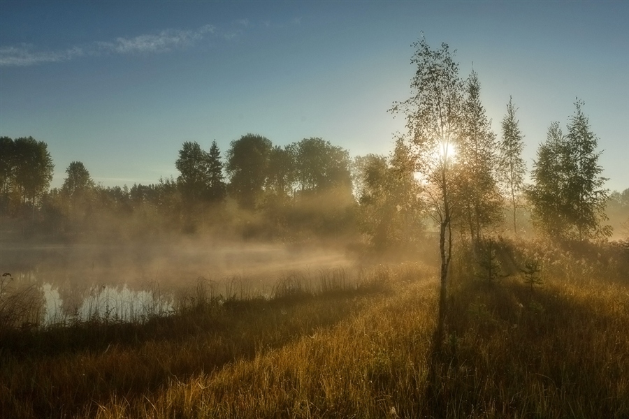 Фото жизнь