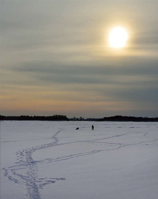 Фото жизнь