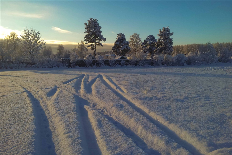 Фото жизнь