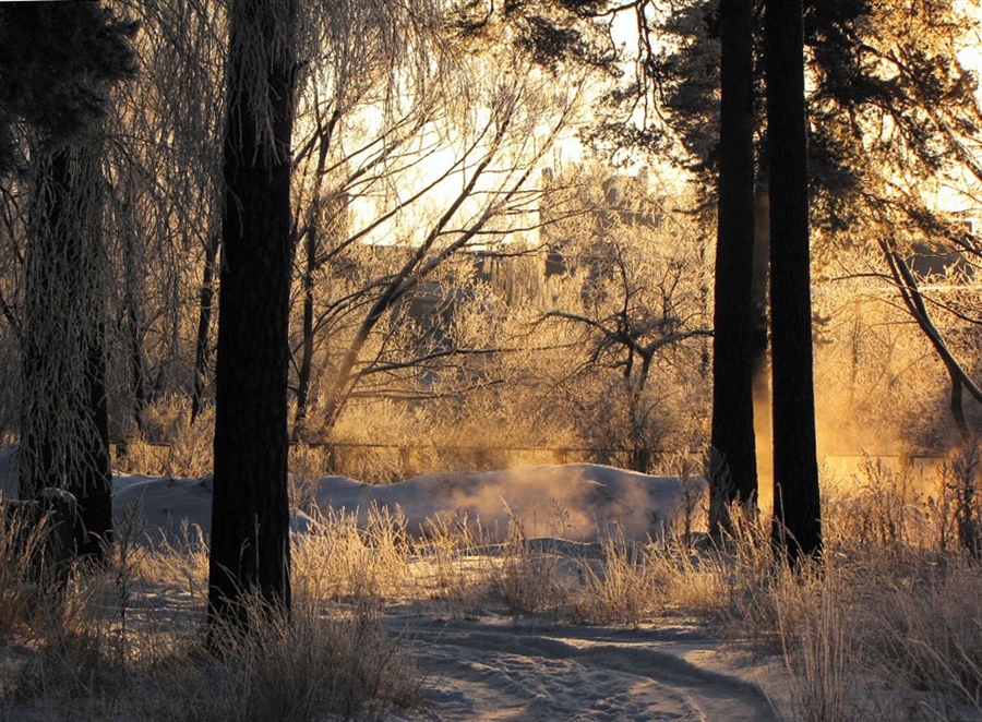 Фото жизнь