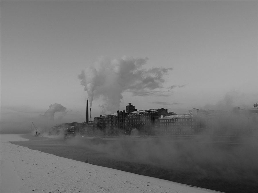 Фото жизнь