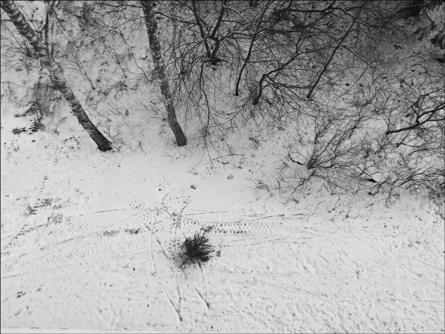 Фото жизнь (light) - serenata - корневой каталог - довольно!