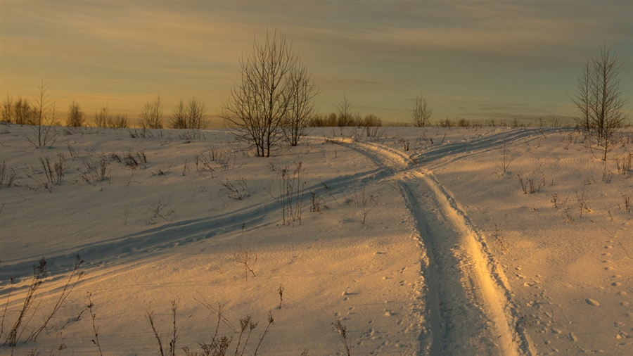 Фото жизнь