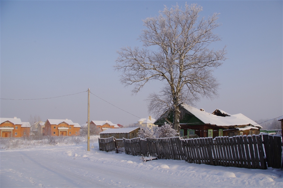 Фото жизнь