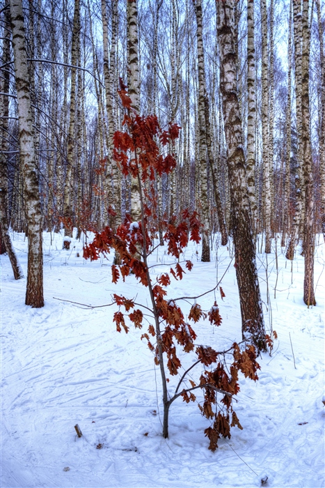 Фото жизнь